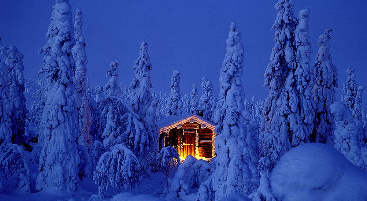 Финляндия-Лапландия-дом-в-лесу.jpg