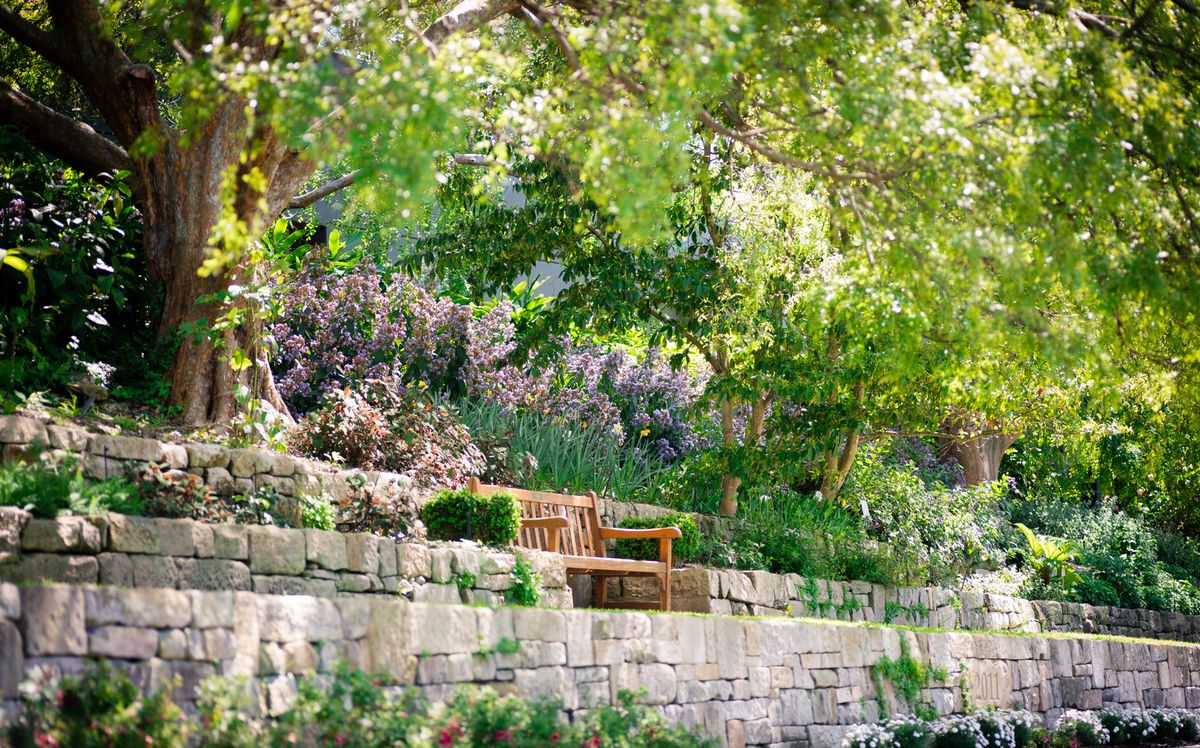 Sydney-Botanic-Gardens-2.jpg
