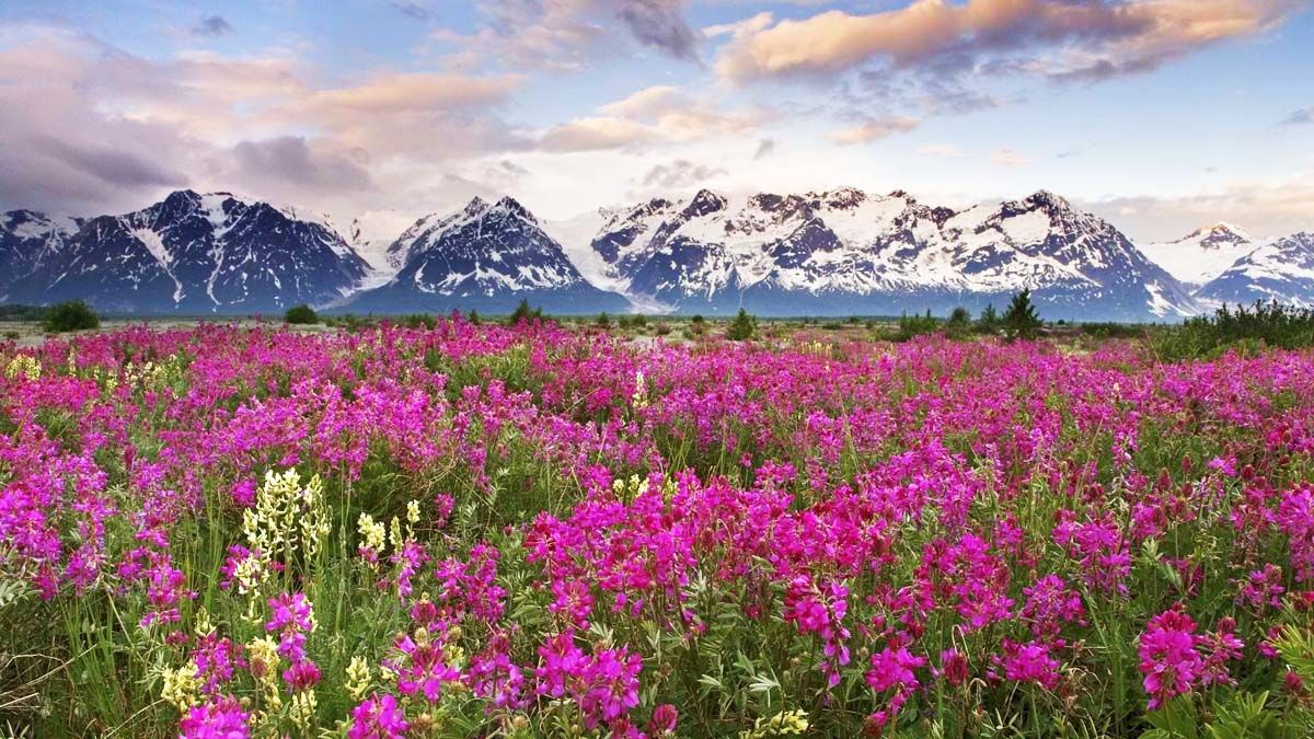 Национальный-парк-Долина-Цветов.jpg