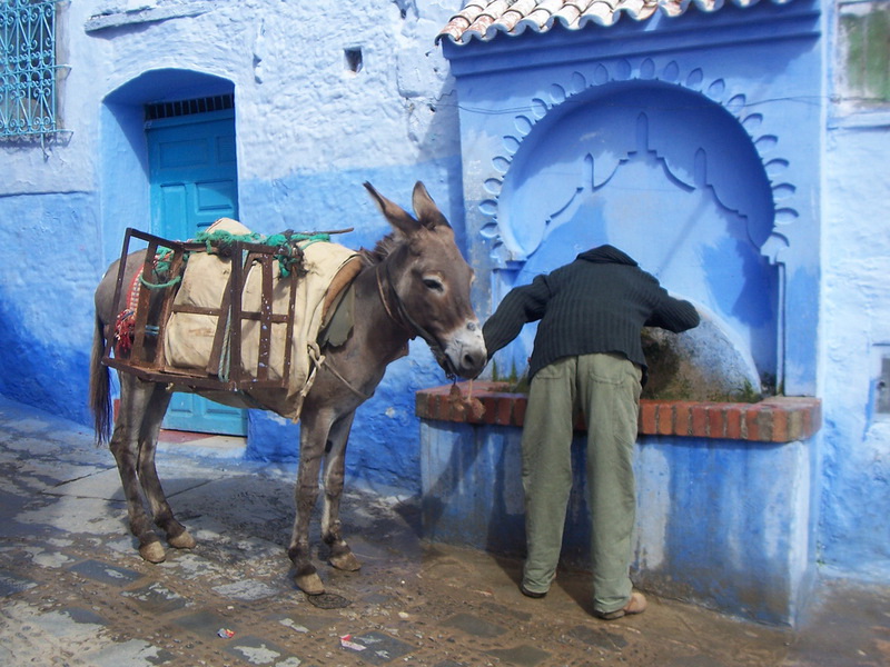 Марокко, Шевшауен